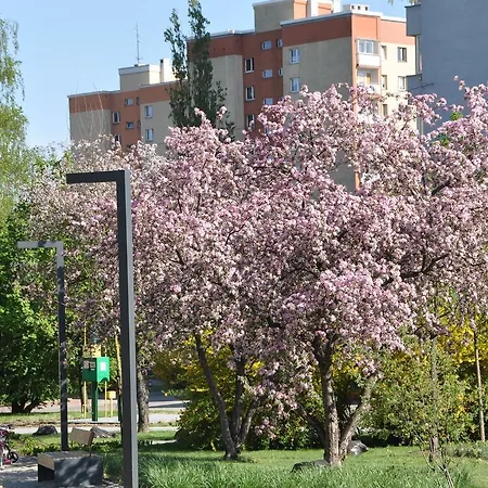 Botanic Garden